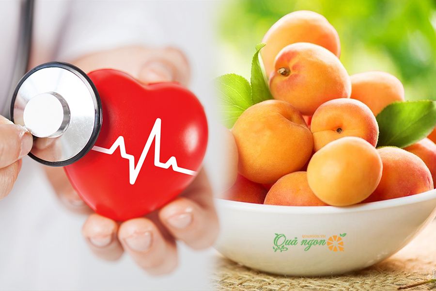 Bảo Vệ Sức Khỏe Tim Mạch