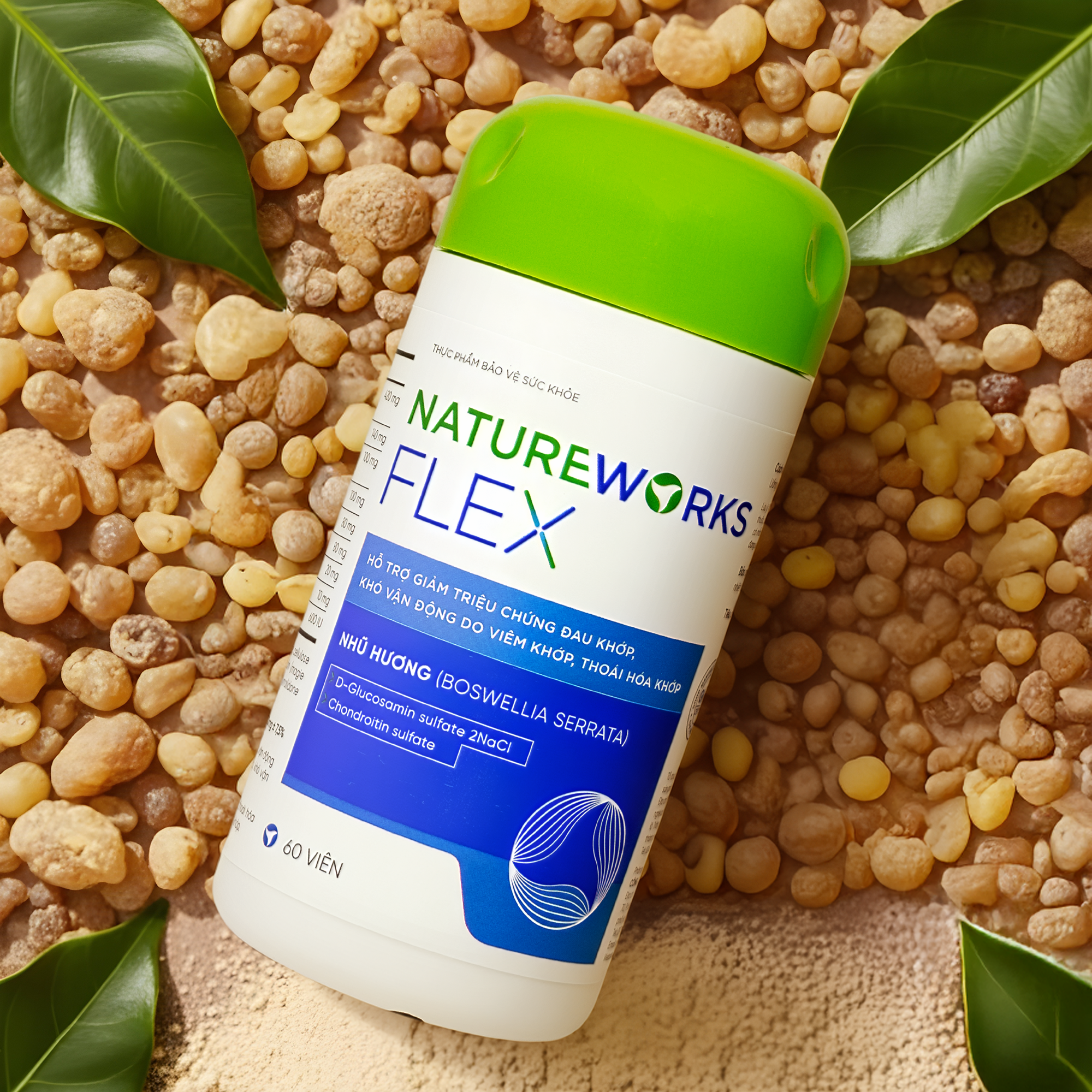 ảnh đại diện bổ não