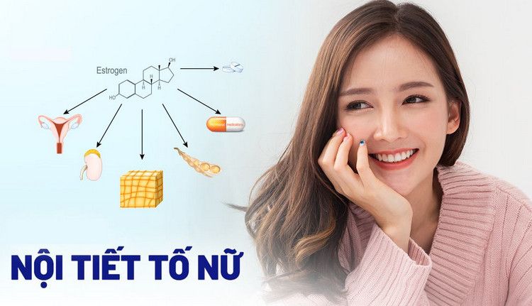 Nội Tiết Tố Nữ Là Gì ?