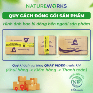 quy trình đóng gói