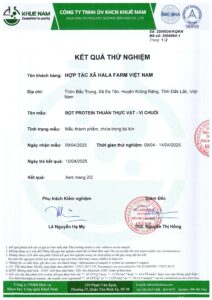 kiểm định đạm protein thuần thực vật vị chuối