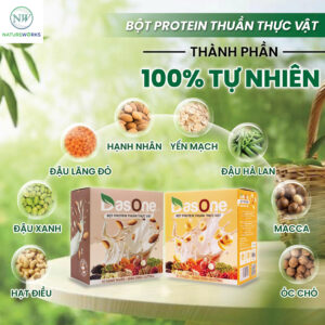 thành phần protein thuần thực vật Dasone