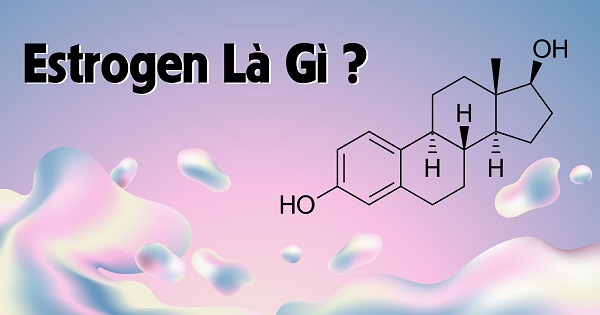 Hormone Estrogen Là Gì