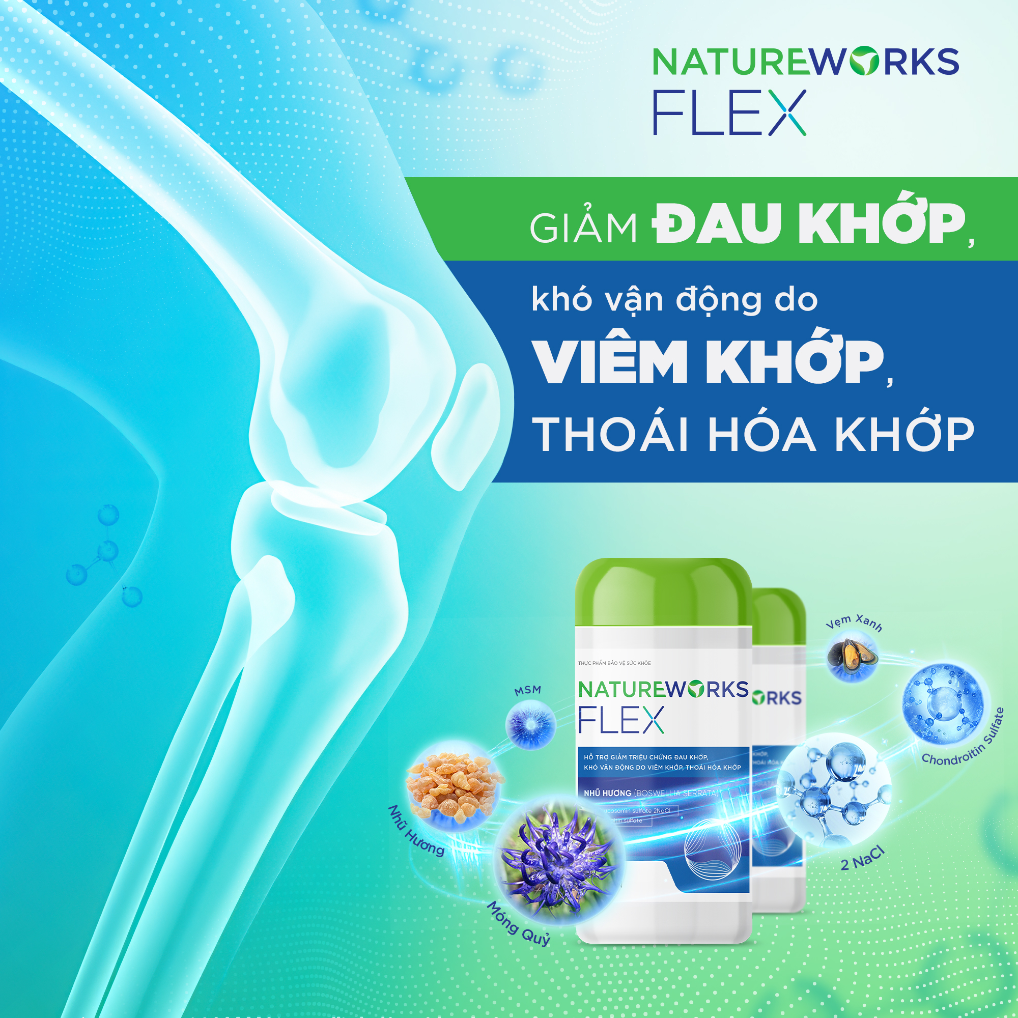 viên uống bảo vệ xương khớp flex
