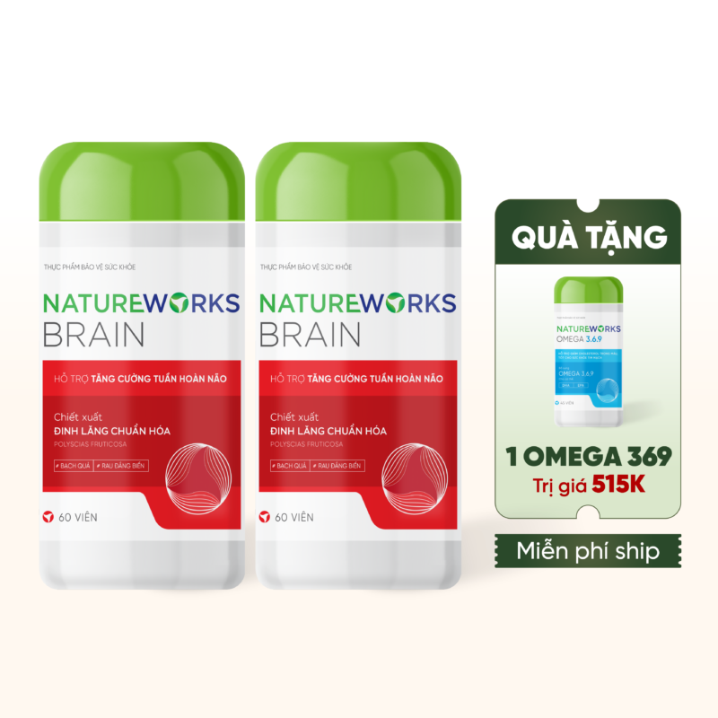 Combo 2 Hộp Bổ Não NatureWorks
