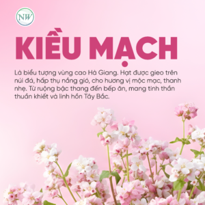 Trà Thảo Mộc Kiều Mạch