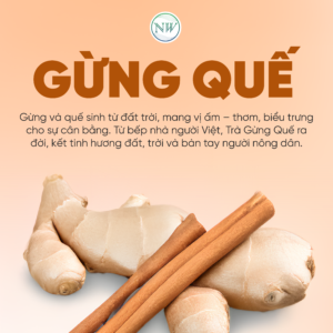 Trà Thảo Mộc Gừng Quế
